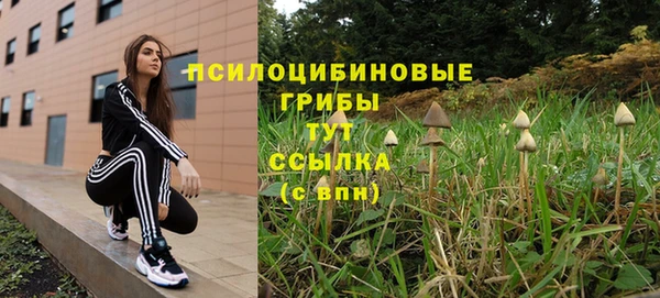 гашиш Дмитриев