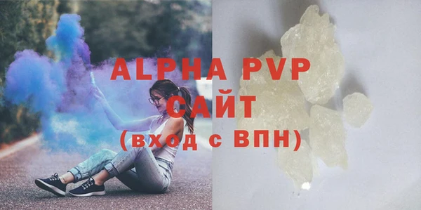 гидра Ельня