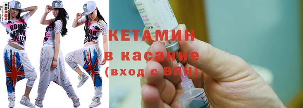шишки Дмитровск