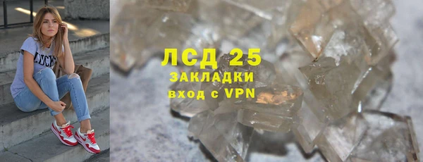 шишки Дмитровск
