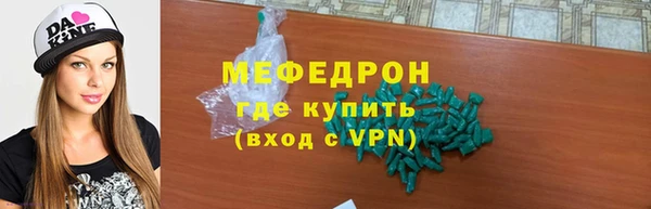гидра Ельня