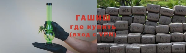 гидра Ельня