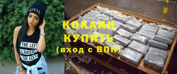 гидра Ельня