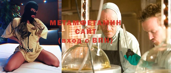 гидра Ельня