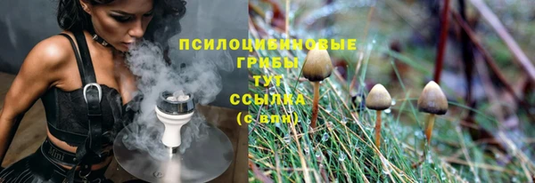 гашиш Дмитриев