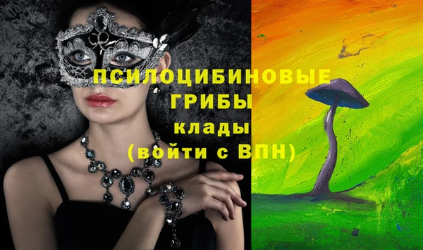 каннабис Дмитров